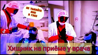 Хищник на приеме у врача // Predator at the doctor's appointment