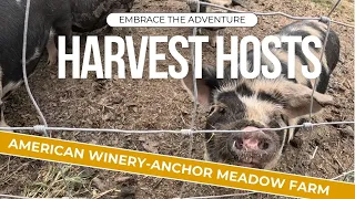 American Winery and Anchor Meadow Farm - A Great Adventure Part 2