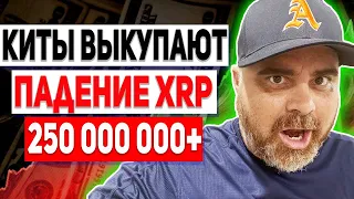 RIPPLE КИТЫ ОТЖАЛИ У ХОЛДЕРОВ МИНИМУМ 250 000 000 XRP НА ЭТОМ ПАДЕНИИ!!! КРУПНЯК СКУПАЕТ РИПЛ 2022