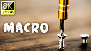 Macro Shots Collection in 8K ULTRA HD (60 FPS) | Satisfying Film With Relaxation Music | 04