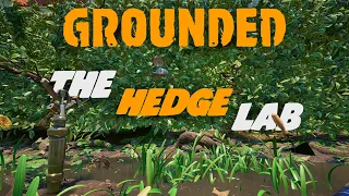 A Survival Game Like No Other: Grounded Multiplayer Gameplay - E3