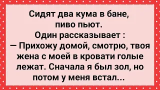 Мужик Застал Жену с Кумой в Кровати! Сборник Свежих Анекдотов! Юмор!