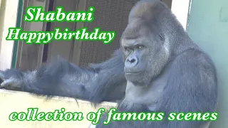 🎉Shabani's 27th Birthday🎉 / A Year's Worth of Drumming and Great Scenes