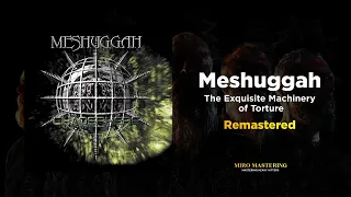Meshuggah - The Exquisite Machinery of Torture (Massive and Heavy Hitting Remaster)