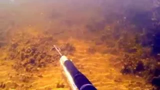 подводная охота.щука и сазан
