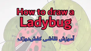 How to draw a Ladybug | آموزش نقاشی کفش‌دوزک