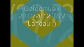 Gemischte Garde des TSV Landau Musik 2011/2012