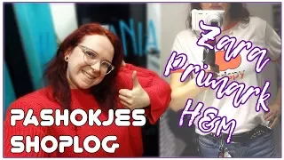 Zara, H&M en Primark pashokjes shoplog - december 2017 - TammyTTalks - Studio Blixje