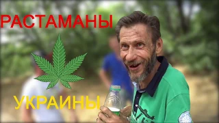 Как относятся к Легализации марихуаны в Украине 🍁