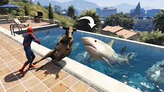 سبايدرمان يربي أسماك القرش في المسبح في قراند 5 GTA V  Spiderman Shark