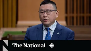 Former MP says he’s a victim of election interference by China