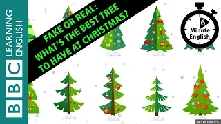 🎄🎅🎁 Fake or real: What’s the best tree to have at Christmas? 6 Minute English