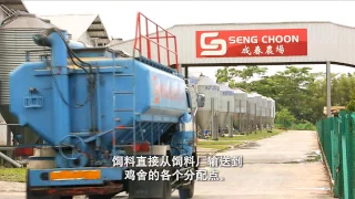 Seng Choon Corporate Video English with Mandarin subtitles