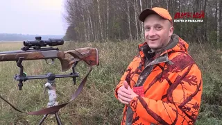 Загонная охота в Беловежской пуще | Corral hunting in Belovezhskaya Pushcha