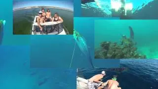 Spearfishing Exmouth 2014