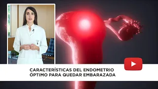 Características del endometrio óptimo para quedar embarazada