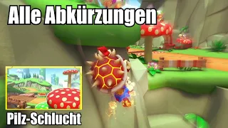 Alle Abkürzungen / Shortcuts - Pilz-Schlucht [Wii] | Mario Kart 8 Deluxe