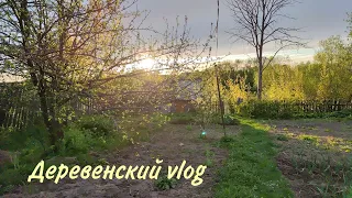Деревенский vlog - продолжаем наводить порядок в огороде/ сажаем зелень и цветы