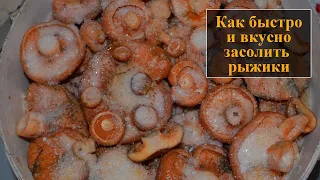 Как засолить рыжики