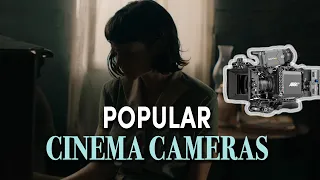 The Most Popular Cinema Cameras (Part 1): Arri, Sony, Red