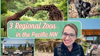 Zoos in the Pacific NW | Portland, Tacoma, & Seattle