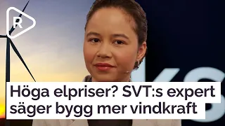 Hur höga kan elpriserna bli? SVT:s expert vill ha mera vindkraft men professorn säger mera kärnkraft