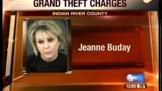 Woman faces grand theft charges in neighbor dispute