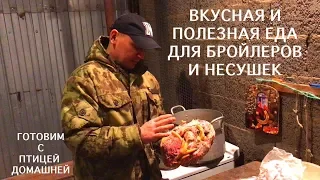 Чем заменить комбикорм  Бройлеру на финальной стадии откорма. Вкусно и полезно для  птицы)