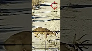 Why 30-06 is KING #scopecam #hunting #deerhunting #hunt  #deer #bigbuck #caceria #gunops #viralvideo