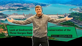 Live: A look at biodiversity conservation at the Three Gorges Dam in Hubei Province