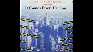 V.A. - It Comes From The East CD 1996 - Intensive Scare Records