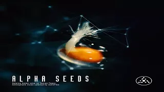 VA - Alpha Seeds (Selected By AstroPilot) [Full Compilation]