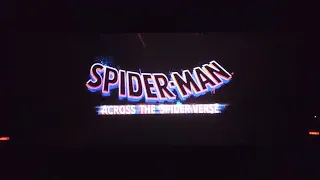 Spider-man Across the spider verse audience reaction