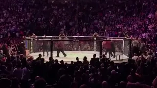 UFC 229 Khabib - McGregor Massiv Brawl