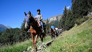 Nationalpark-Ritt mit dem Reitstall und Saloon San Jon