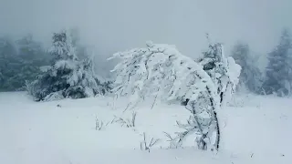 Расслабляющий шум ветра, звуки вьюги - 1 час для сна и отдыха