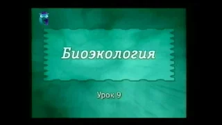 Экология. Урок 9. Динамика сообществ