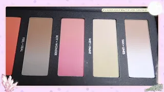 Hindash- Beautopsy Pressed Pigment Gradient Palette (swatches)