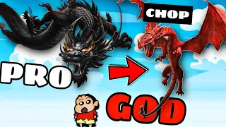 SHINCHAN AND CHOP FINALLY UPGRADING A GOD DRAGON INTO A GOD FLYING DRAGON !|IamBolt Gaming