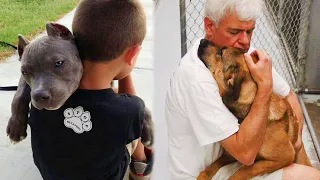 The Unconditional Love Of Dogs Is Incredible - Dogs Show Love To Their Owner