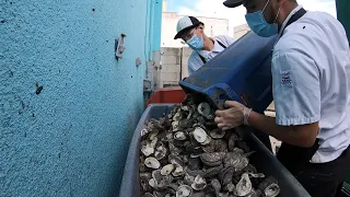 Sink Your Shucks I Oyster Recycling Program (Texas Country Reporter)