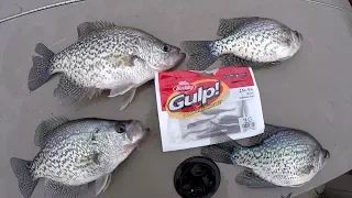 Crappie Fishing With The Berkley Gulp Minnow