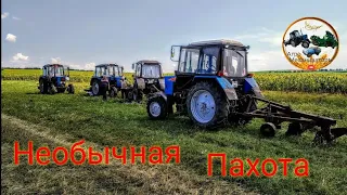 Необычная Пахота🔴 Пашем на Тракторе МТЗ 82.1 с плугом ПЛН 3-35🔴