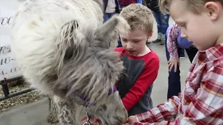 2020 National Western Stock Show -- Spanish