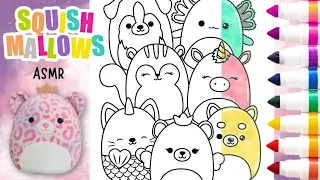 ASMR Coloring Squishmallows | Squishmallow Coloring Page | Relaxing Sounds | Lana's Colorscapes