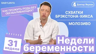 31 неделя беременности как выглядит ребенок, что происходит, УЗИ, молозиво, схватки Брэкстона-Хикса