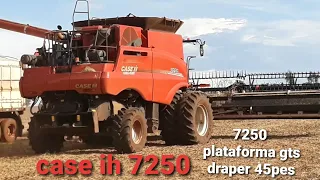 case ih 7250 axial-flw com plataforma gts draper 45 pés colhendo soja safra 2022/2023