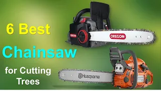 Top 6 Best Chainsaws for Cutting Trees in 2023