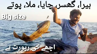 Fishing in Karach at open sea || Charna Island Fishing Latest update || Bottom fishing  at Satao