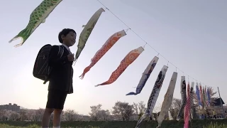 Children's Day Festival - Japan: Earth's Enchanted Islands: Web Exclusive - BBC Two